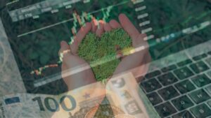 Patrick Bernaus Degrowth-Kritik